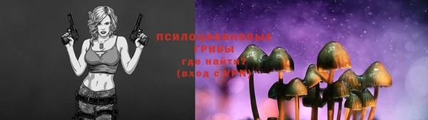 прущая мука Наволоки